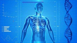 دوره آموزشی آناتومی عمومی بدن انسان  - General Anatomy of Human Body