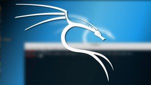 دوره آموزشی Kali Linux For Beginners - آموزش کالی لینوکس برای مبتدیان