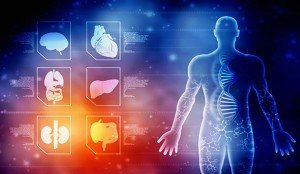 دوره آموزشی فیزیولوژی (Physiology)