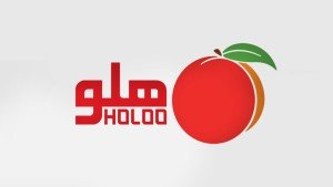 دوره آموزشی نرم افزار حسابداری و مالی هلو (Holoo)