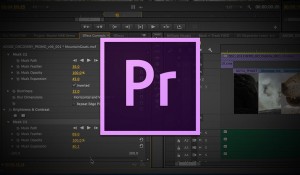 دوره آموزشی نرم افزار پریمیر (Adobe Premiere )