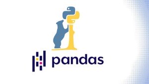 دوره آموزشی Pandas در پایتون