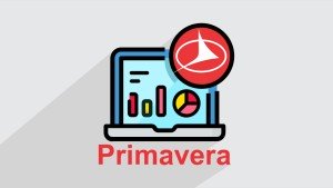 دوره آموزشی برنامه‌ریزی با نرم‌افزار Primavera